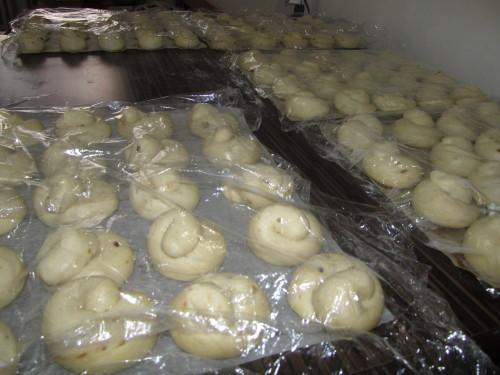 Detail na kynoucí šnečky.