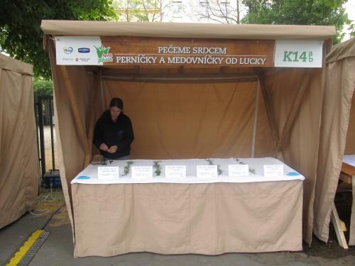 Osm hodin ráno. Začínáme s přípravou stánku.