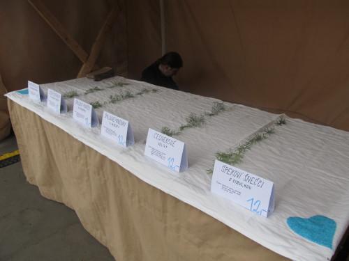 Skutečné rozměry stánku sice neodpovídají předem oznámeným rozměrům, ubrus ale naštěstí nikde nechybí.