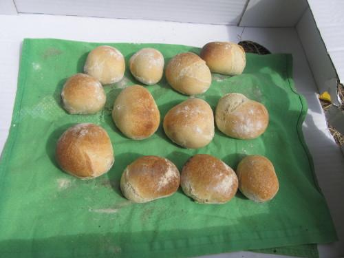 Na křupavé housky jsem si vyslechla plno stížností - bylo jich málo, jen jednou za týden a hned zmizely.