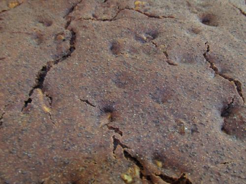 ...peník sám o sobě byl ale nádherně vláčný.